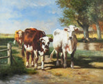 Cows - GJ0813