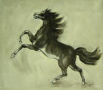 Horse - HS1027 (60x90 cm)