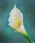 White Flower - HS1733