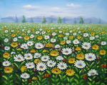 Chrysanthemums Field[HS0075]