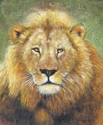 Pitiful lion[HS0455]