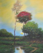 Creek at Sunset[HS0681]