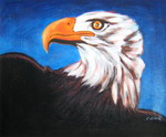 Eagle[HS0709]