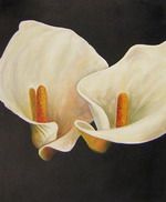 Lily[HS0879]