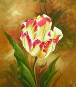 Tulip[HS1244]