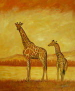 Giraffes[HS1434]
