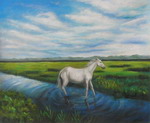 Horse in a river[HS1683]
