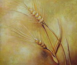 Wheat[HS1698]