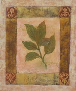 A book of cover[HS2058]