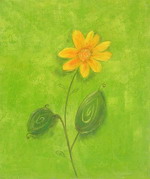 A sunflower[HS2073]