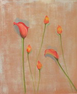 Health-standard of beauty[HS2075]