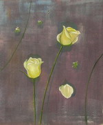 Last yellow rose.[HS2080]