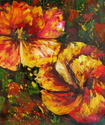 The flower in Everglade[HS2486]