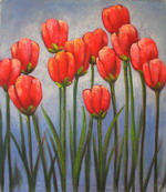 Red tulips[HS2668]