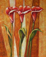 Calla[HS2829]