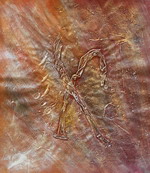 Tortuose people[HS3105]