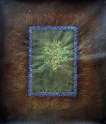 Iron flowers (1)[HS3247]