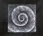 Snail[HS3333]